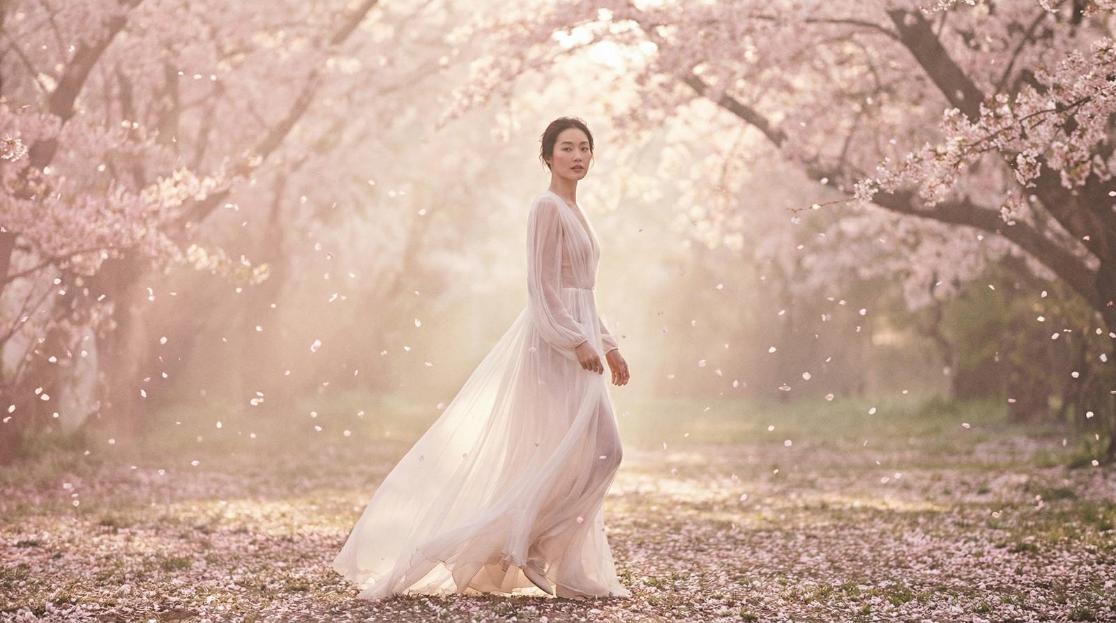 国产主播樱花季唯美视频